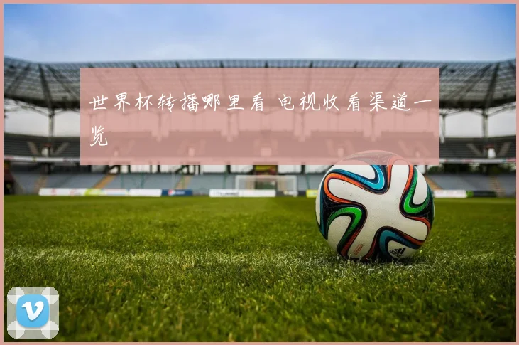 世界杯转播哪里看 电视收看渠道一览