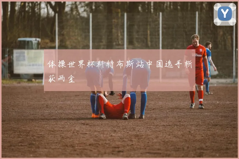 体操世界杯科特布斯站中国选手斩获两金