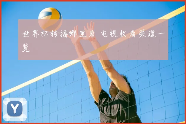 世界杯转播哪里看 电视收看渠道一览