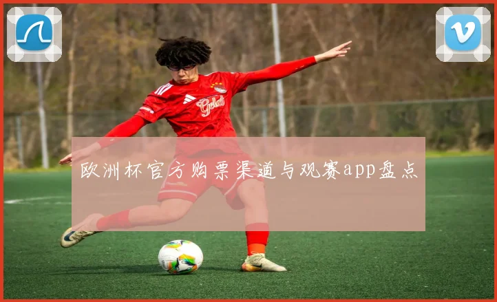 欧洲杯官方购票渠道与观赛app盘点