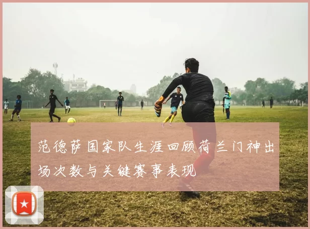 范德萨国家队生涯回顾荷兰门神出场次数与关键赛事表现
