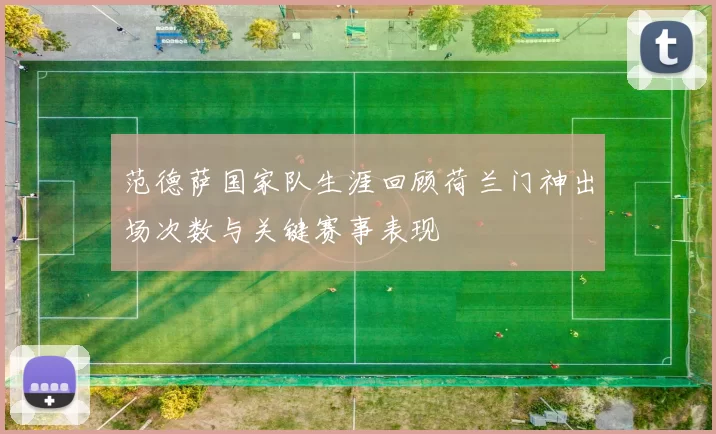 范德萨国家队生涯回顾荷兰门神出场次数与关键赛事表现