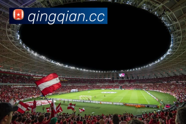 足球世界杯官网中文版平台生态图